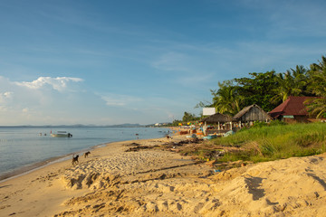 The beach, palm trees and beach bar in the distance, shot during the golden hour in a warm sunlight