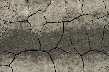 Структура треснутой земли, грунтовая дорога в трещинах