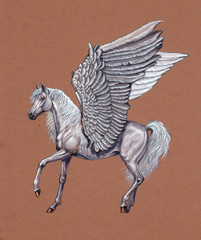 Pegasus illustration. White horse with wings drawing. © Lunstream