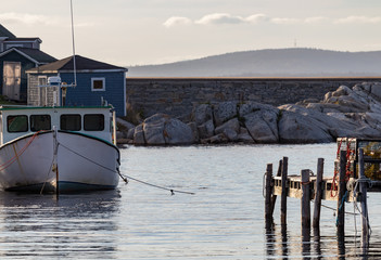 boats in harbor