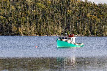 Fototapeta na wymiar green boat on the lake