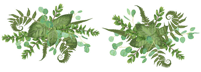 Vector floral bouquet design: set green forest fern, branches boxwood, buxus. Vector watercolor style, herbs, eucalyptus,. Wedding vector element for invite card.