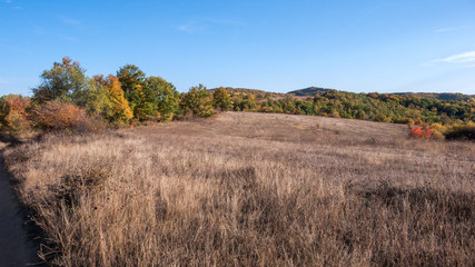 Amazing Autumn landscape of Cherna Gora (Monte Negro) mountain, Pernik Region, Bulgaria