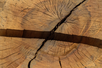 Wood texture