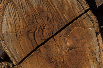 Wood texture