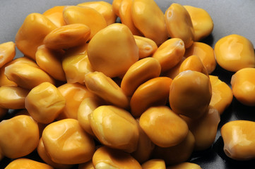 Lupinus albus Llobí Lupini Weiße Lupine white lupin Люпин белый Lupin blanc Valkolupiini ft71086063