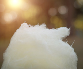 Candy cotton background