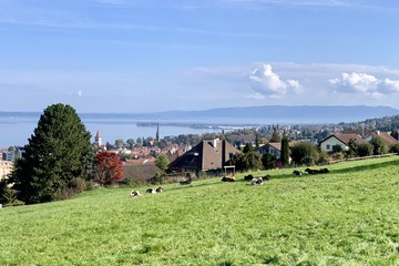 Obraz premium Bodensee