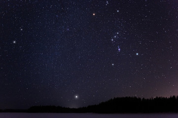 Orion and Canis Minor constellations and Sirius above horizon on a cold winter night. - obrazy, fototapety, plakaty