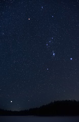 Orion constellation and Sirius rising above horizon on a cold winter night.