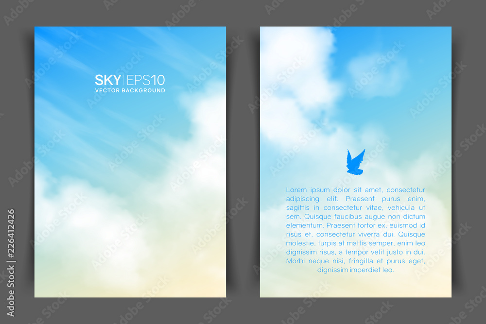 Wall mural two-sided vertical flyer of a4 format with realistic beige-blue sky and clouds. the image can be use