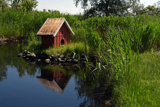 Duck house at a pond