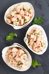 Fresh homemade Chilean salmon ceviche with lemon juice, onion, garlic, salt and cilantro, served on seashells, photographed overhead on slate (Selective Focus, Focus on the ceviche)