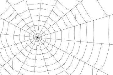 concentric white web on a white background