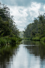 Fototapeta na wymiar Navegando en el río de Borneo 