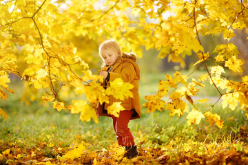 Little boy during stroll in the forest at sunny autumn day