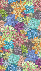 Colorful vector succulents seamless pattern. Succulent ornament. Natural composition. Hand drawn art work.