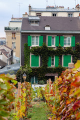 Colorful house in the vineyard of Montmartre Paris