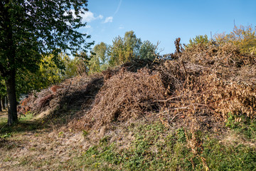 Baum und Gr&uuml;nschnitt Deponie