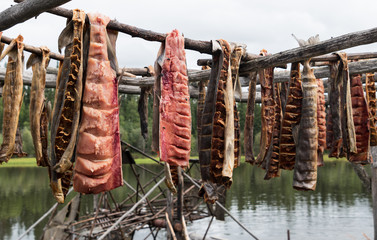 salmon drying