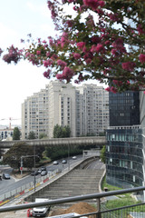 Obraz premium immeuble