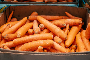 Red Carrots in a paper box on market. Fresh vegetables offering by farmers, organic food