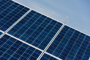 solar panels  plant
