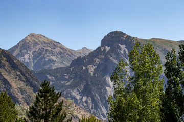 Mountain landscape with trees in the foreground