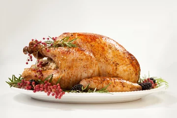 Foto op Plexiglas Thanksgiving Turkey on White © evgenyb