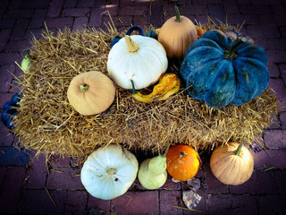 colorful pumpkins and gourds on haybale