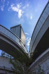 首都高速　ジャンクションの風景