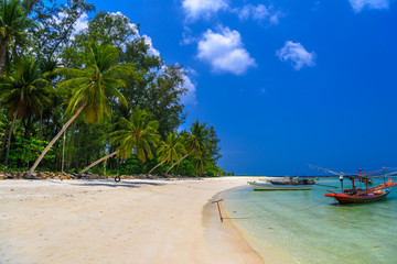 Coconut palms and long tail boats, Malibu Beach, Koh Phangan isl