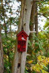red handmade bird house in the forest