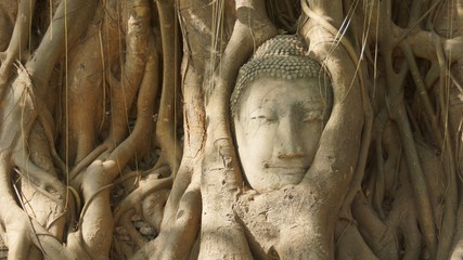 Buddhist temple with ruins, colorful shrines & a famed Buddha head surrounded by tree roots - Wat Phra Mahatat