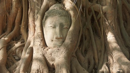 Buddhist temple with ruins, colorful shrines & a famed Buddha head surrounded by tree roots - Wat Phra Mahatat