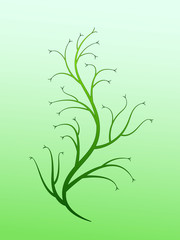 A green tree plant design background with branches and flowers vector illustration