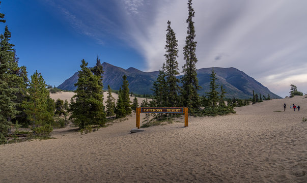 Carcorss Desert in Yukon Canada