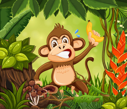 Angry monkey in jungle background