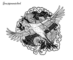 Red-crowned crane with Chrysanthemum vector by hand drawing.Beautiful bird on white background.Grus japonensis art highly detailed in line art style.Chinese bird for tattoo or wallpaper.