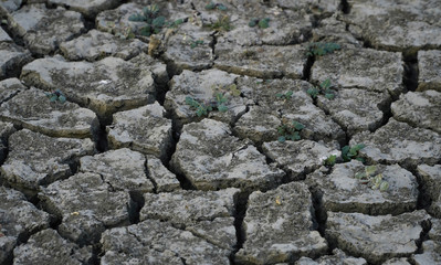 cracked dry ground