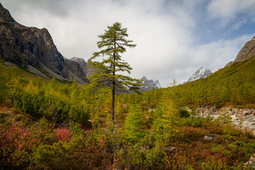 Obraz premium The beginning of autumn in the Kodar Mountains