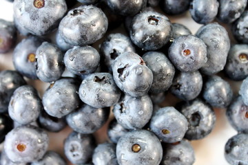 Blueberries with water droplets