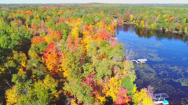 Autumn in Northern Wisconsin, colorful scenic treetop drone flyover of amazing forests and river.