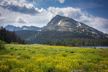 Scenery along the Big Sandy Trail in the Wind River Range