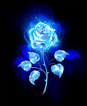 Burning Blue Rose