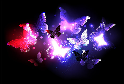 Glowing Butterfly