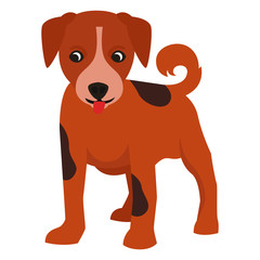 small cute puppy in flat vector style