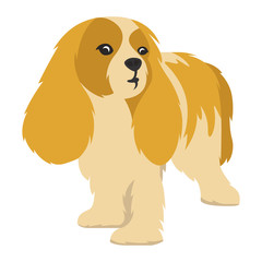 Illustration of cute dog in white background