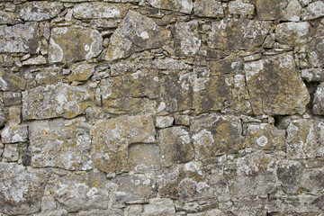 Close up view of a gray medieval castle stone wall with discoloration from lichens and moss