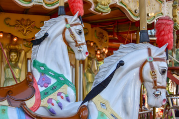 Carousel 1